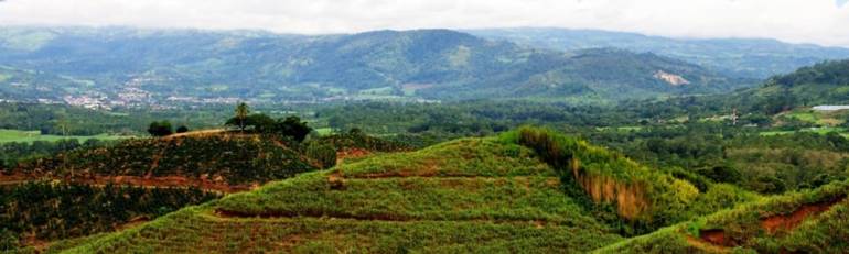 Un voyage riche en dépaysement au Costa Rica