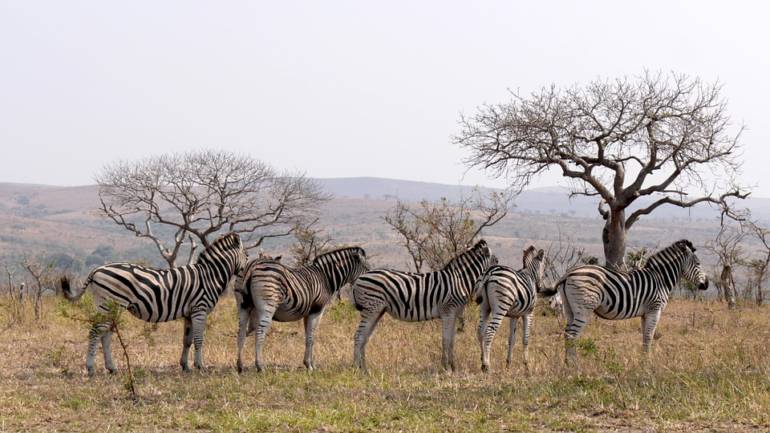 L’Afrique du Sud, une excellente destination pour se divertir