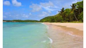 Plage Anse de Mays