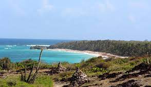 Plage Anse Grande Roche