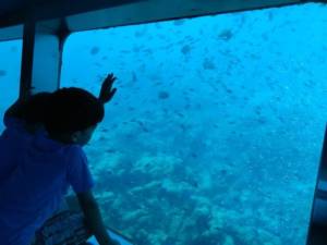 Visite sous-marine au Marin