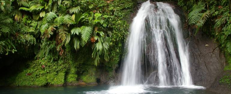 Cascades en Guadeloupe : La Cascade aux Ecrevisses et Le Saut des Trois Cornes