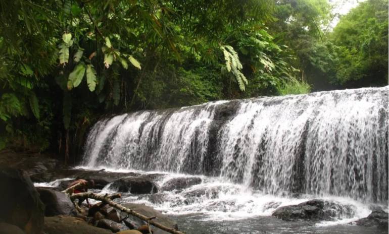 Les 5 plus belles cascades de Martinique