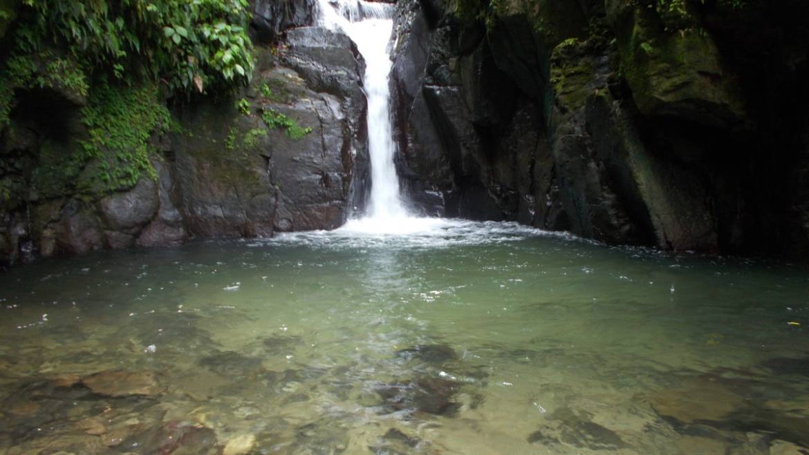 Cascades en Martinique : Cascade de la Ravine Baron et Cascades de l’Alma