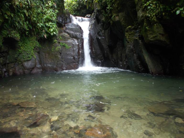 Cascades en Martinique : Cascade de la Ravine Baron et Cascades de l’Alma