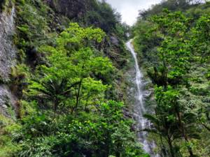 Cascade Rivière Trois Bras