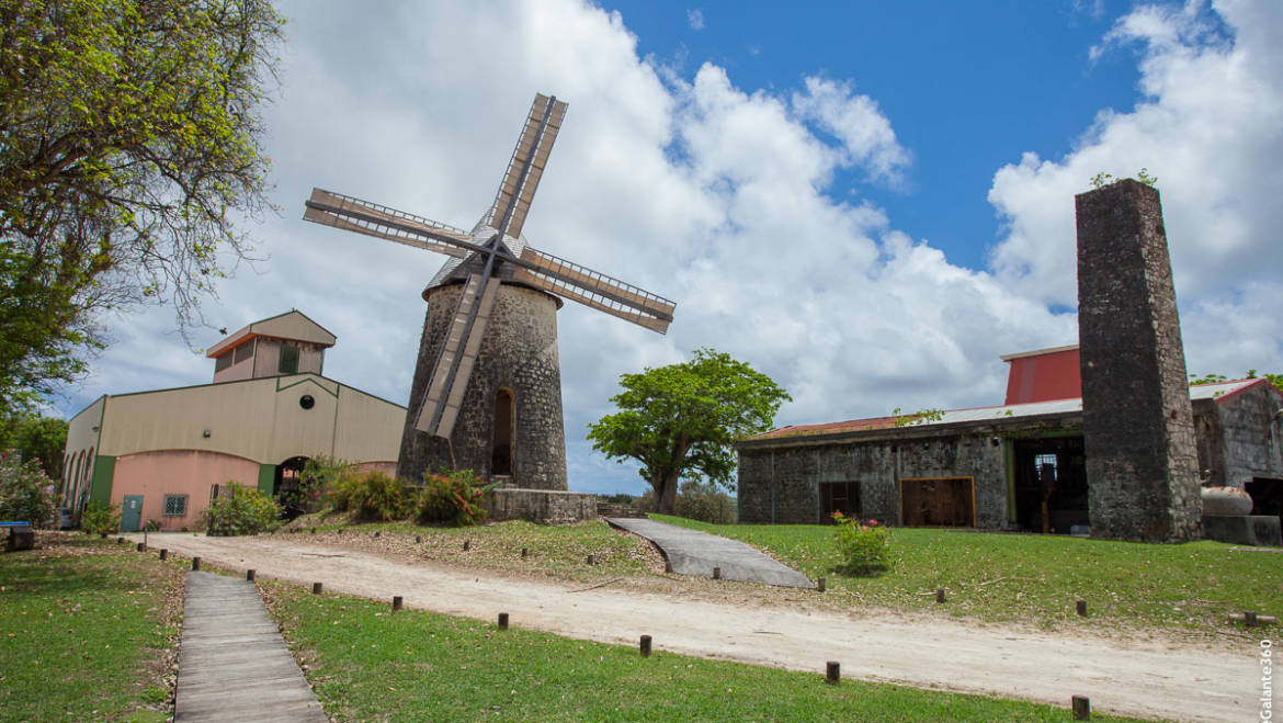 Découverte de la Distillerie Bellevue à Marie-Galante