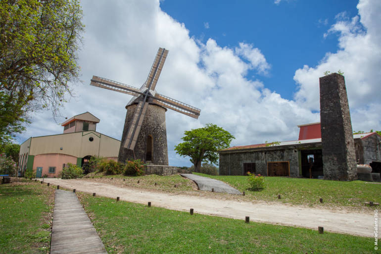 Découverte de la Distillerie Bellevue à Marie-Galante