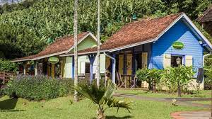 Musée de la banane