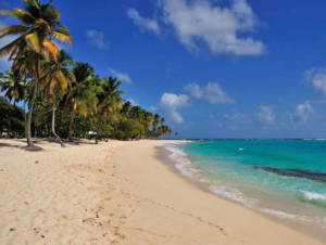 Plage de Petite Anse