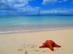 Plage de Folle Anse