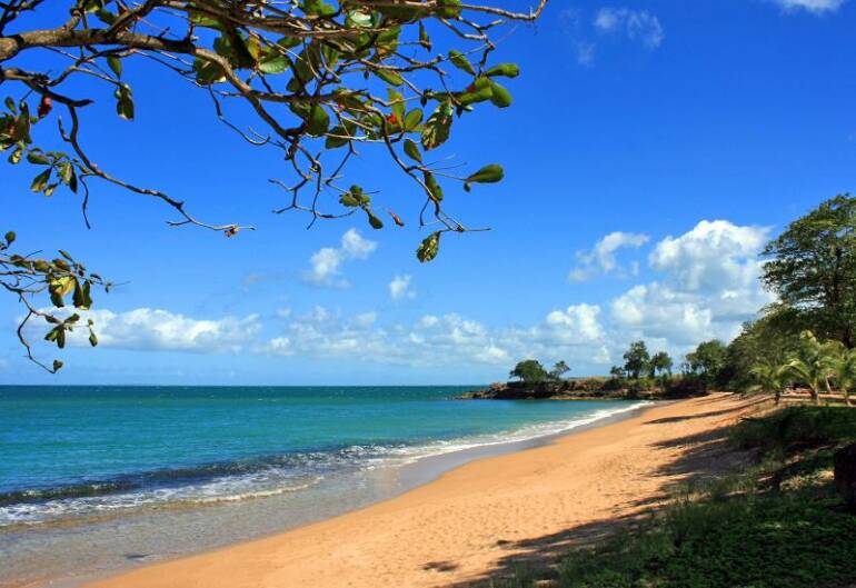 Les plus beaux attraits de Sainte Rose